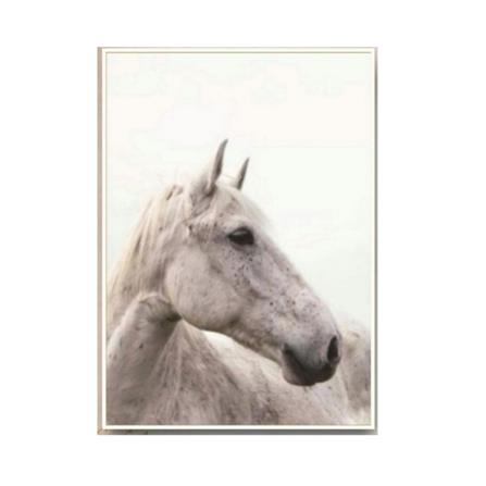 รูปภาพตกแต่ง WANA.GALLERY LTN-21100142 หลากสี_0