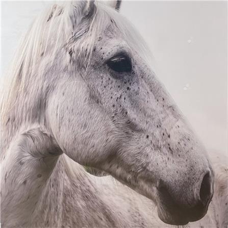 รูปภาพตกแต่ง WANA.GALLERY LTN-21100142 หลากสี_2