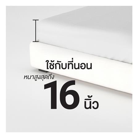 ชุดผ้าปูที่นอน 6 ฟุต (ชุด 6 ชิ้น) FROLINA COTTON BREEZE CBSF004_10