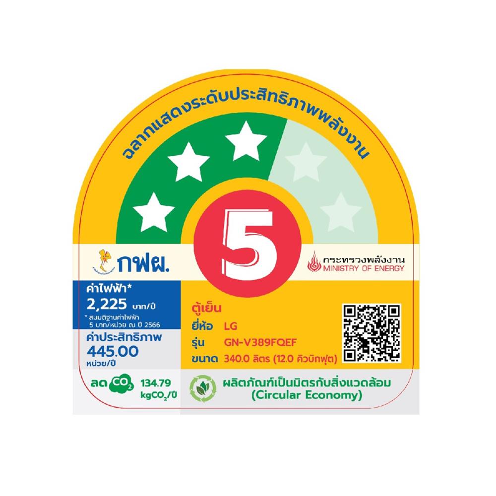 ตู้เย็น 2 ประตู LG GN-V389FQEF.AEPPLMT ฟรีซล่าง 12 คิว สีดำด้าน