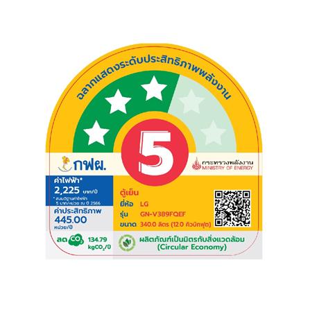 ตู้เย็น 2 ประตู LG GN-V389FQEF.AEPPLMT ฟรีซล่าง 12 คิว สีดำด้าน_7