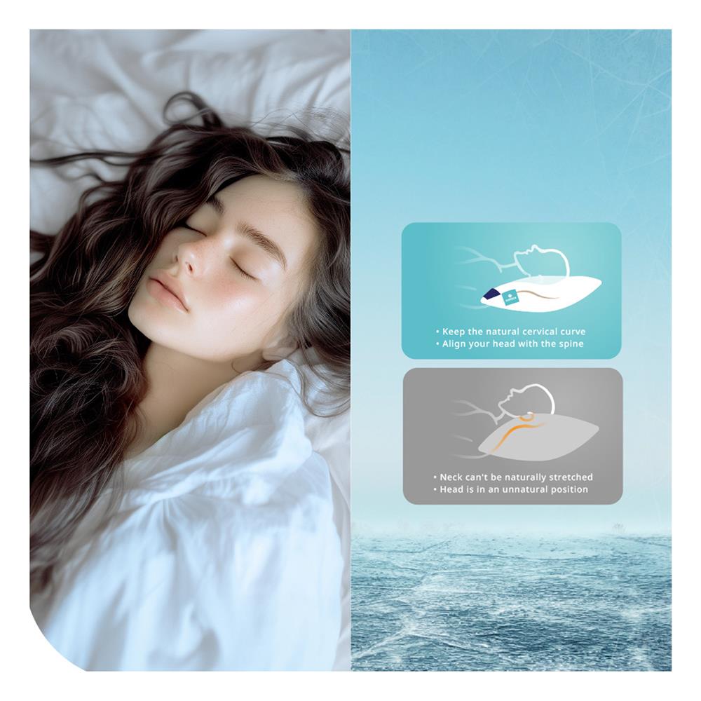 หมอนหนุน เมมโมรี่โฟม LOTUS ITALIAN MICRO VISCO 2.0 18x27 นิ้ว สีขาว