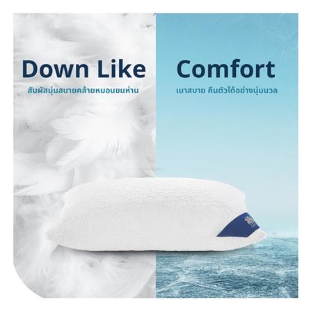 หมอนหนุน เมมโมรี่โฟม LOTUS ITALIAN MICRO VISCO 2.0 20x30 นิ้ว สีขาว_9