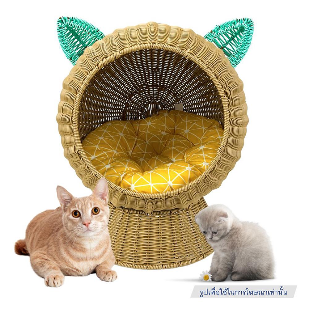 ที่นอนสัตว์เลี้ยง THAI FORWARD 41X41X48 ซม. สีน้ำตาล