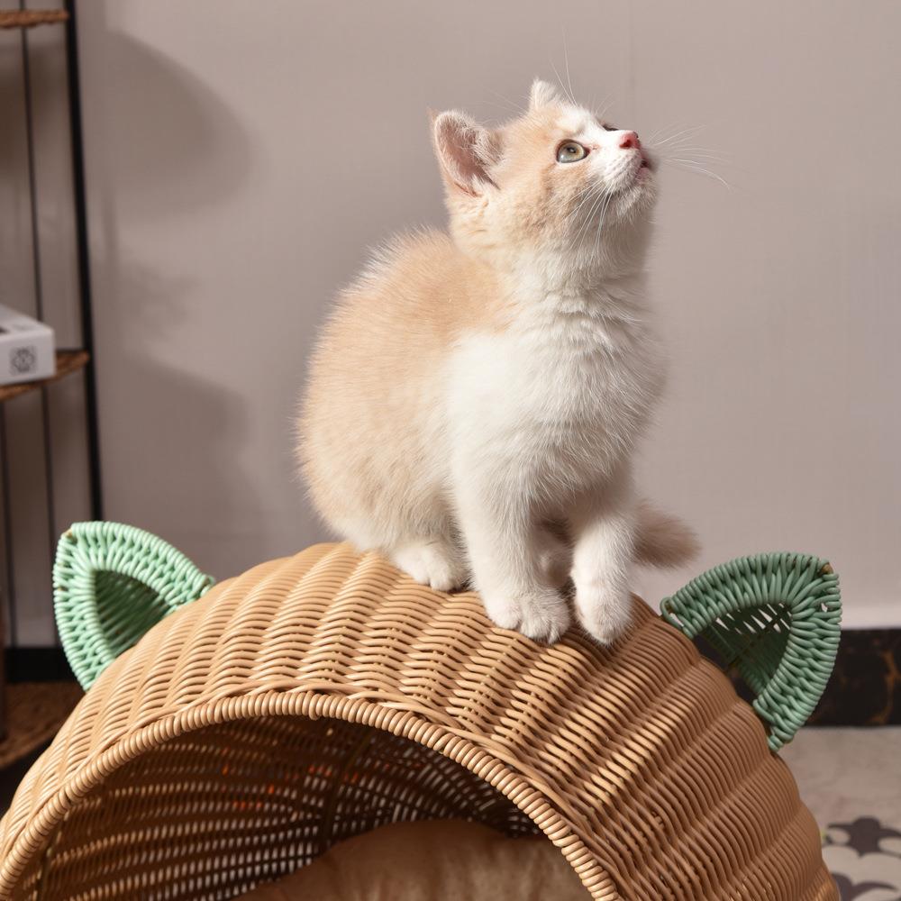 ที่นอนสัตว์เลี้ยง THAI FORWARD 41X41X48 ซม. สีน้ำตาล