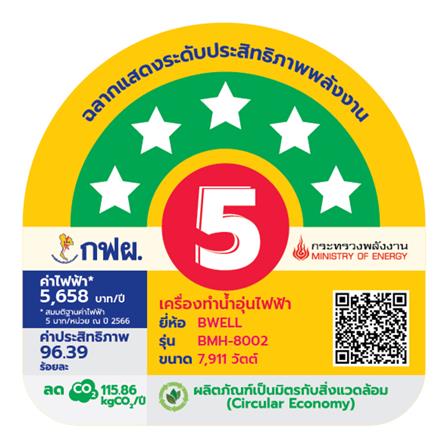 เครื่องทำน้ำร้อน BWELL KONRAD 8000 วัตต์ สีเงิน_3