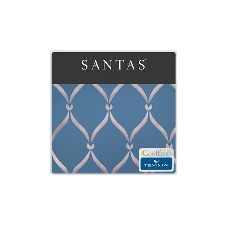 ชุดผ้าปูที่นอน 6 ฟุต (ชุด 5 ชิ้น) SANTAS TEXIMA NABOB BL_4