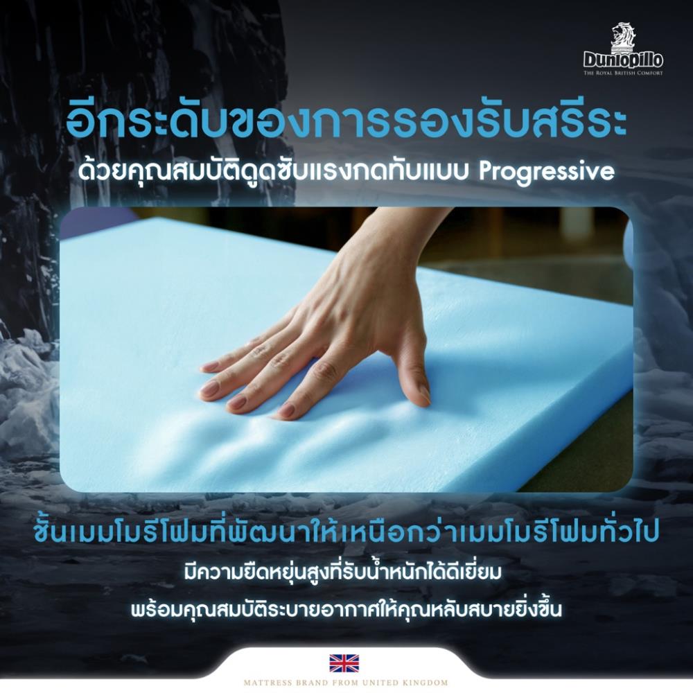 แผ่นรองนอน 3.5 ฟุต DUNLOPILLO EXBURY