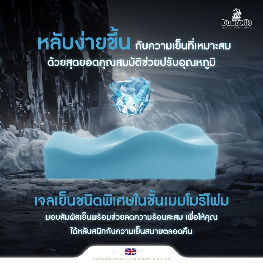 แผ่นรองนอน 3.5 ฟุต DUNLOPILLO EXBURY