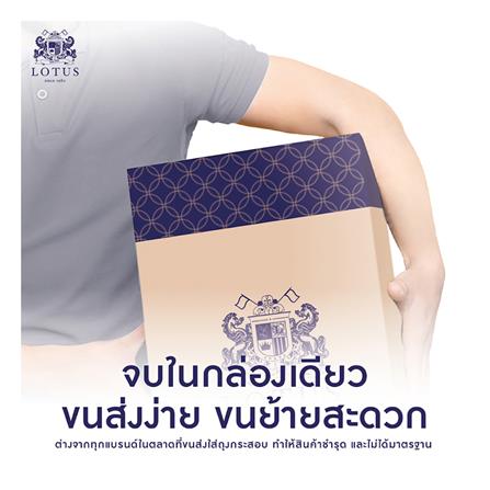 แผ่นรองนอน 3 ฟุต LOTUS FORESTEX I สี GREY_9