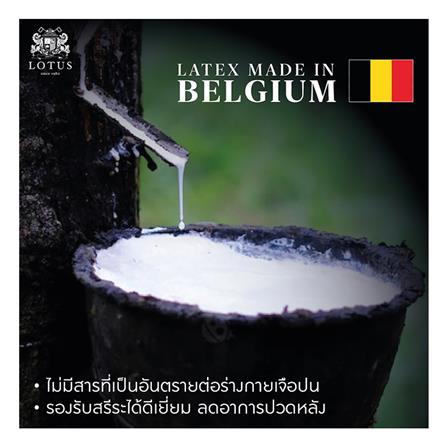 แผ่นรองนอน 3 ฟุต LOTUS FORESTEX I สี WHITE_4