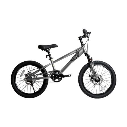 จักรยานเด็ก 20 นิ้ว QITONG TN24Q22 สีเทา_0
