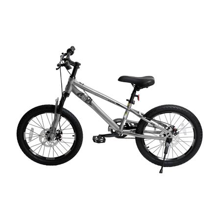 จักรยานเด็ก 20 นิ้ว QITONG TN24Q22 สีเทา_1