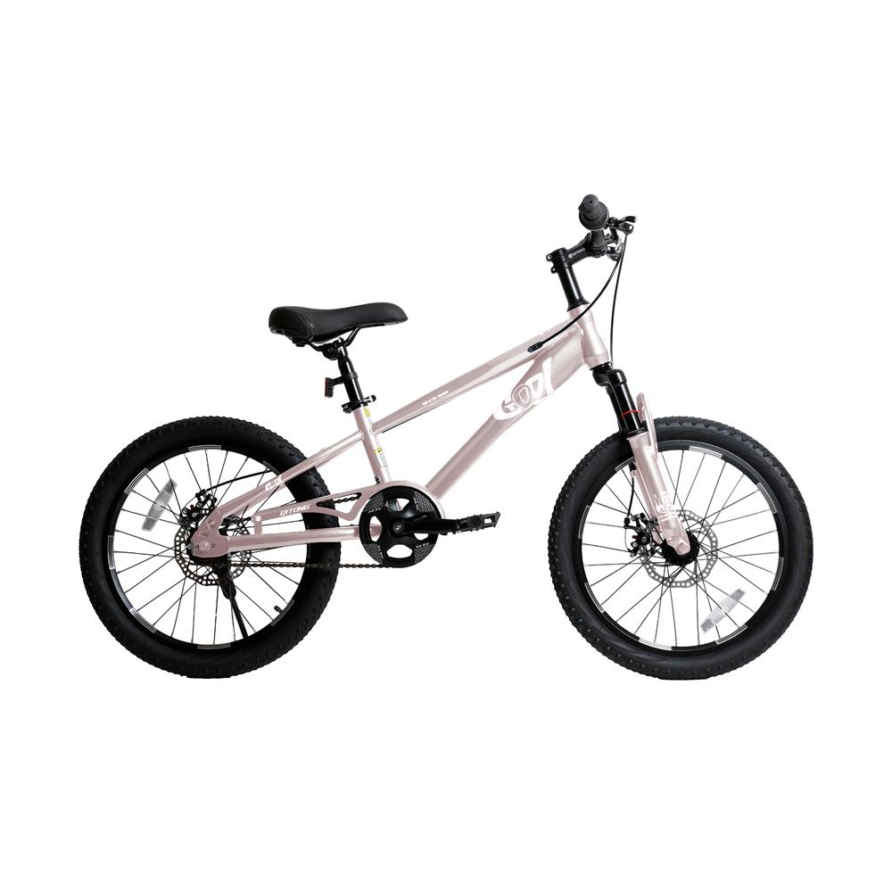 จักรยานเด็ก 20 นิ้ว QITONG TN24Q22 สีชมพู