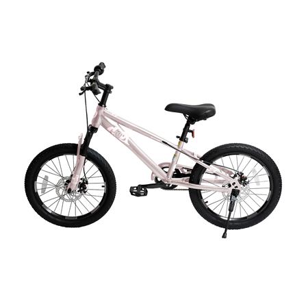 จักรยานเด็ก 20 นิ้ว QITONG TN24Q22 สีชมพู_1