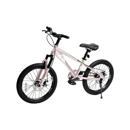 จักรยานเด็ก 20 นิ้ว QITONG TN24Q22 สีชมพู_2