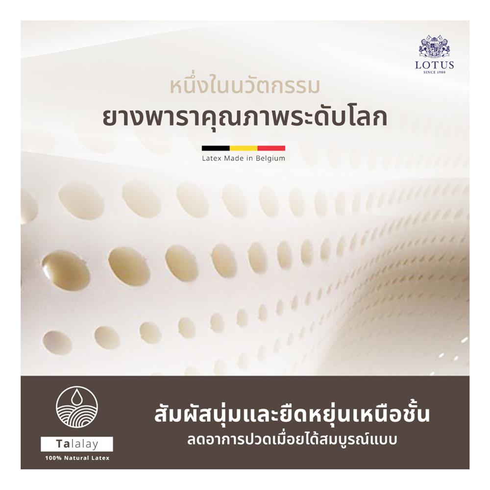 ที่นอน 3.5 ฟุต LOTUS ASLEEP III (พร้อมหมอนหนุน 1 ใบ)