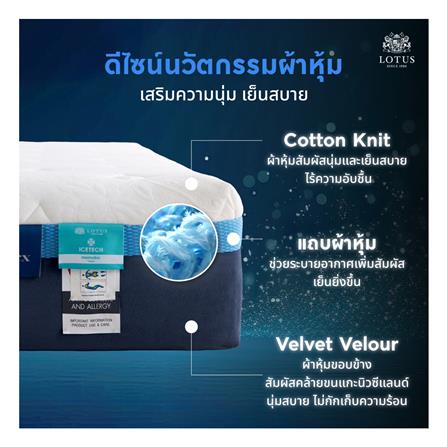 ที่นอน 3.5 ฟุต LOTUS ASLEEP III (พร้อมหมอนหนุน 1 ใบ)_3