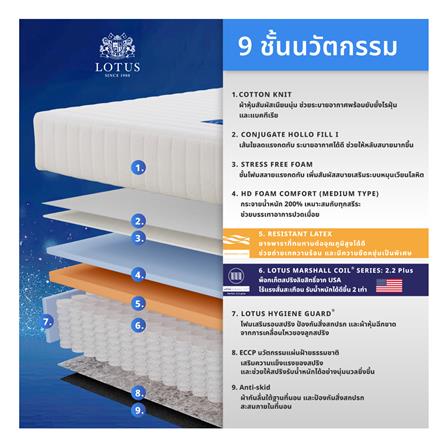 ที่นอน 5 ฟุต LOTUS ASLEEP I (พร้อมหมอนหนุน 2 ใบ)_4