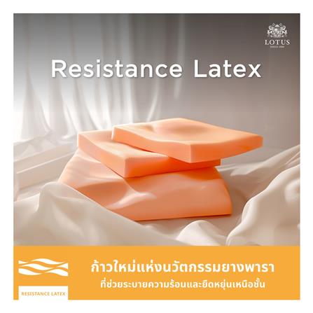 ที่นอน 5 ฟุต LOTUS ASLEEP I (พร้อมหมอนหนุน 2 ใบ)_6