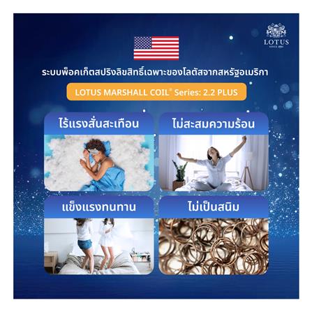 ที่นอน 5 ฟุต LOTUS ASLEEP I (พร้อมหมอนหนุน 2 ใบ)_7