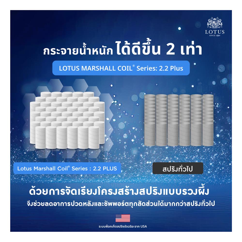 ที่นอน 3.5 ฟุต LOTUS ASLEEP II (พร้อมหมอนหนุน 1 ใบ)