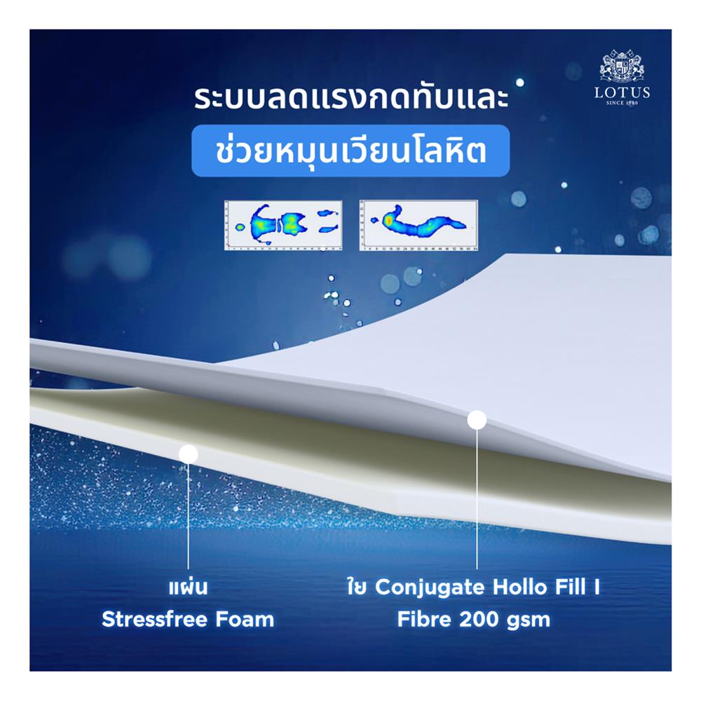 ที่นอน 3.5 ฟุต LOTUS ASLEEP II (พร้อมหมอนหนุน 1 ใบ)