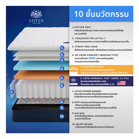ที่นอน 3.5 ฟุต LOTUS ASLEEP II (พร้อมหมอนหนุน 1 ใบ)_4