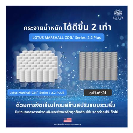 ที่นอน 3.5 ฟุต LOTUS ASLEEP II (พร้อมหมอนหนุน 1 ใบ)_7
