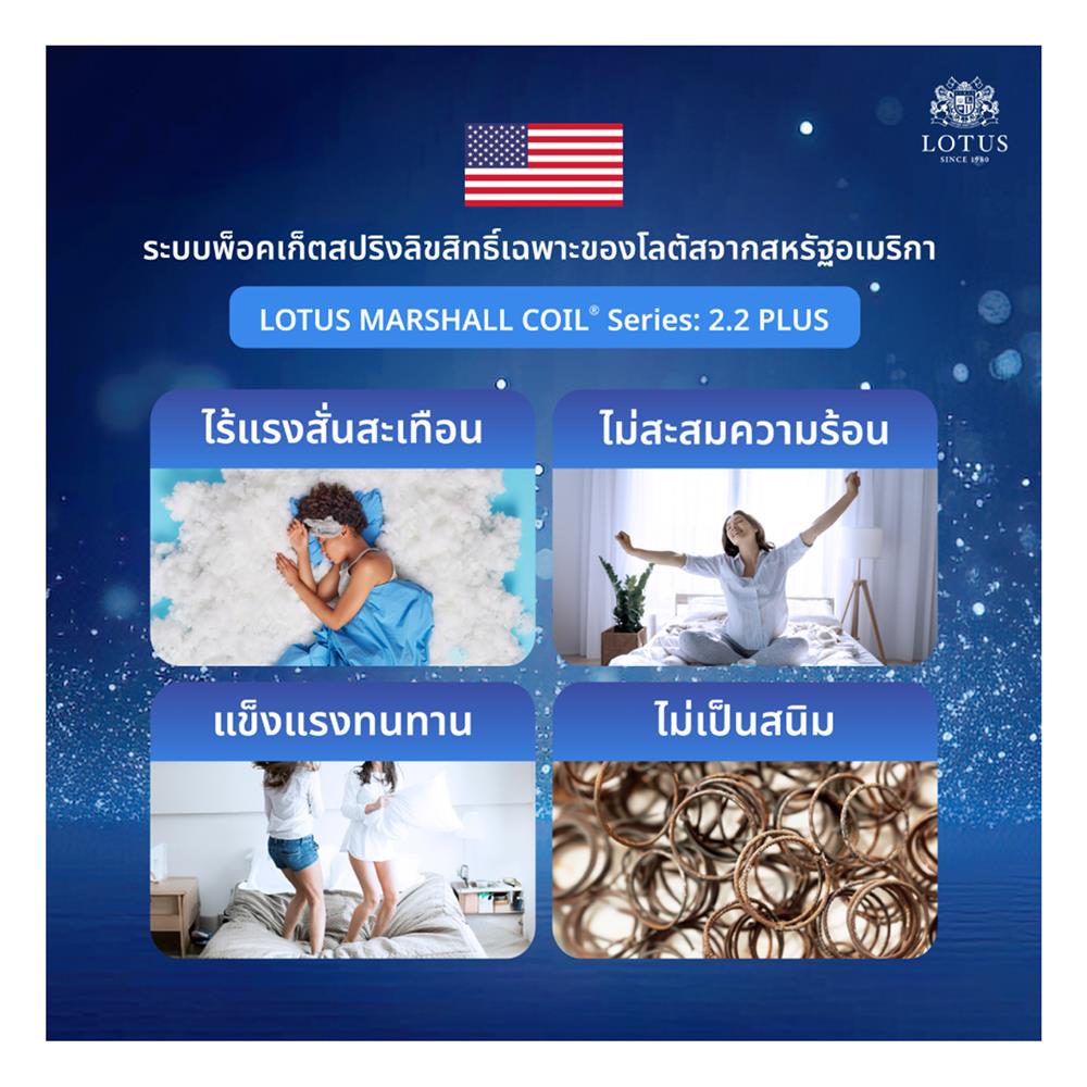 ที่นอน 6 ฟุต LOTUS ASLEEP II (พร้อมหมอนหนุน 2 ใบ)