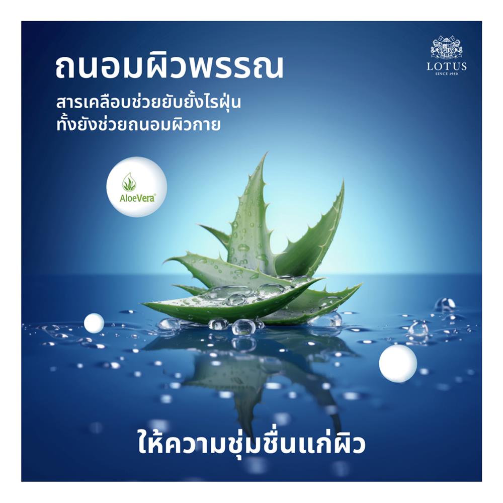ที่นอน 6 ฟุต LOTUS ASLEEP II (พร้อมหมอนหนุน 2 ใบ)
