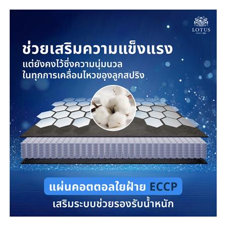 ที่นอน 6 ฟุต LOTUS ASLEEP II (พร้อมหมอนหนุน 2 ใบ)_10