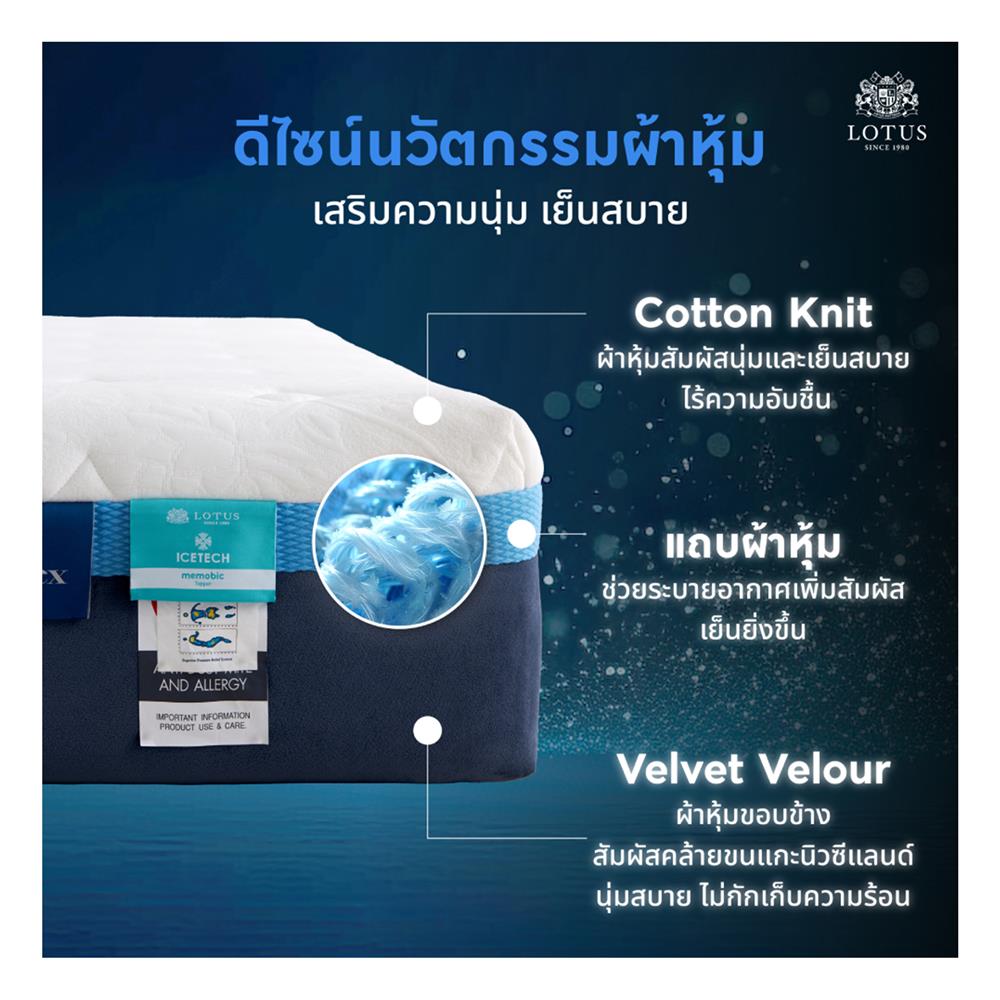 ที่นอน 6 ฟุต LOTUS ASLEEP III (พร้อมหมอนหนุน 2 ใบ)