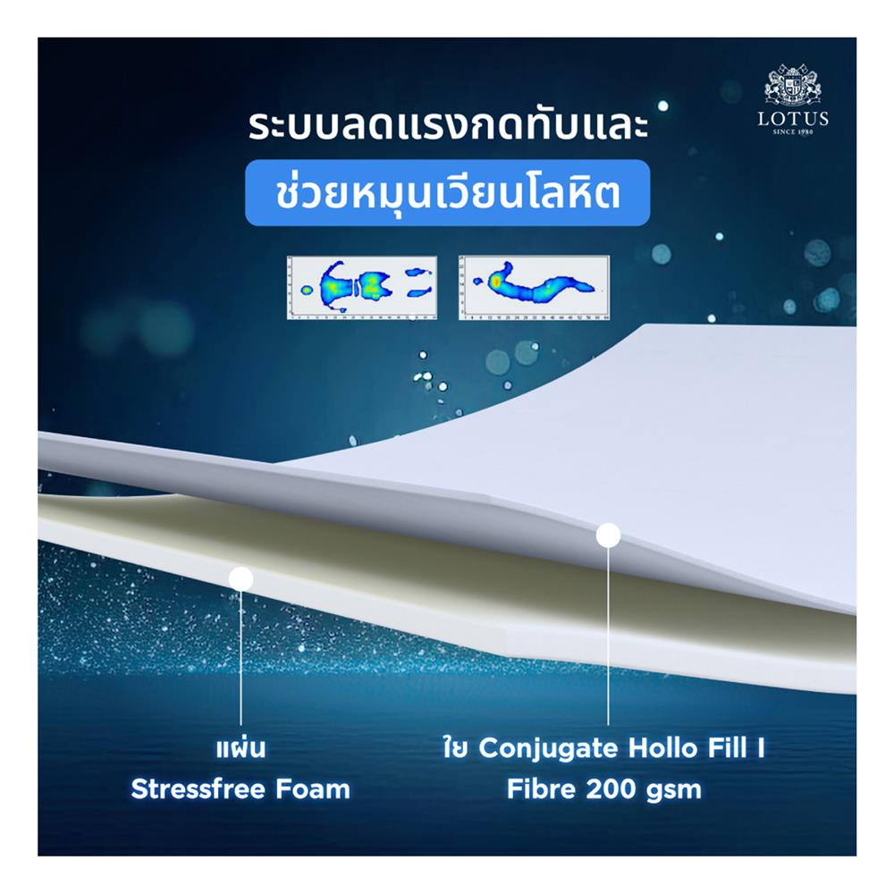 ที่นอน 6 ฟุต LOTUS ASLEEP III (พร้อมหมอนหนุน 2 ใบ)