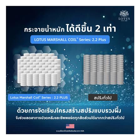 ที่นอน 6 ฟุต LOTUS ASLEEP III (พร้อมหมอนหนุน 2 ใบ)_7