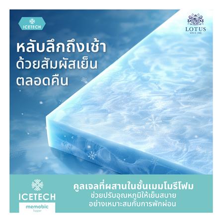 ที่นอน 6 ฟุต LOTUS ASLEEP III (พร้อมหมอนหนุน 2 ใบ)_9