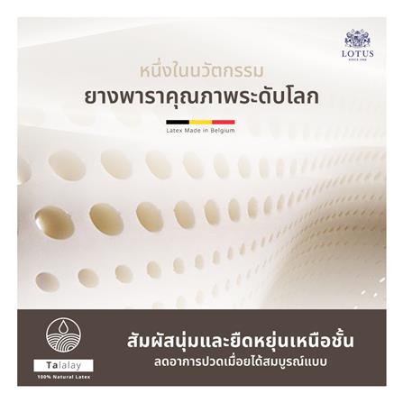 ที่นอน 6 ฟุต LOTUS ASLEEP III (พร้อมหมอนหนุน 2 ใบ)_10