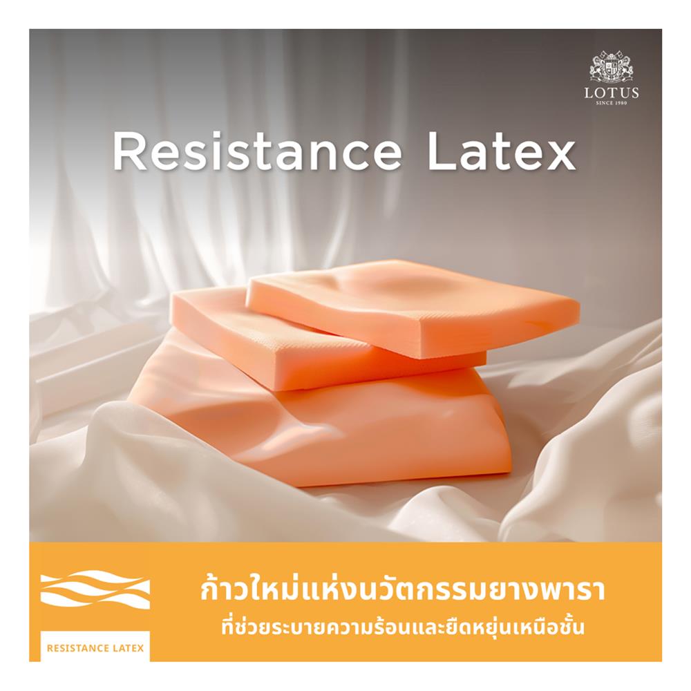 ที่นอน 6 ฟุต LOTUS ASLEEP I (พร้อมหมอนหนุน 2 ใบ)