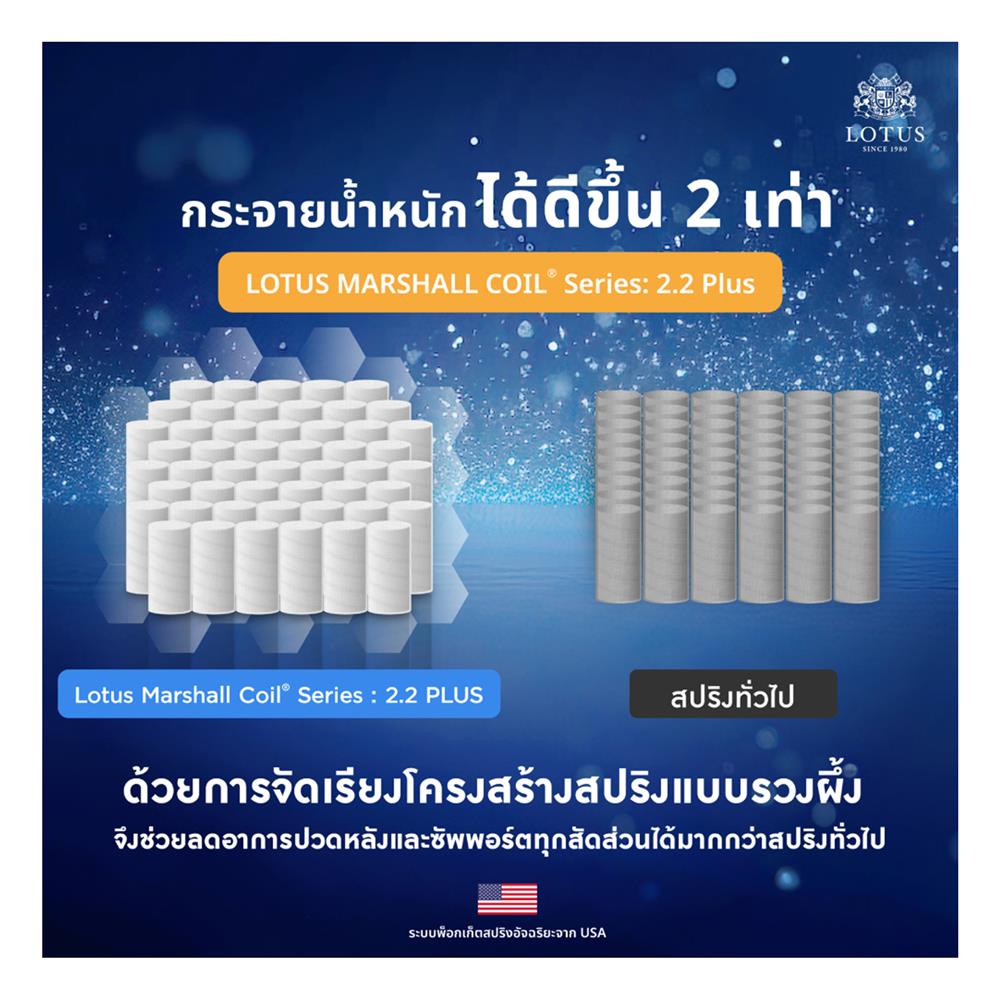 ที่นอน 6 ฟุต LOTUS ASLEEP I (พร้อมหมอนหนุน 2 ใบ)