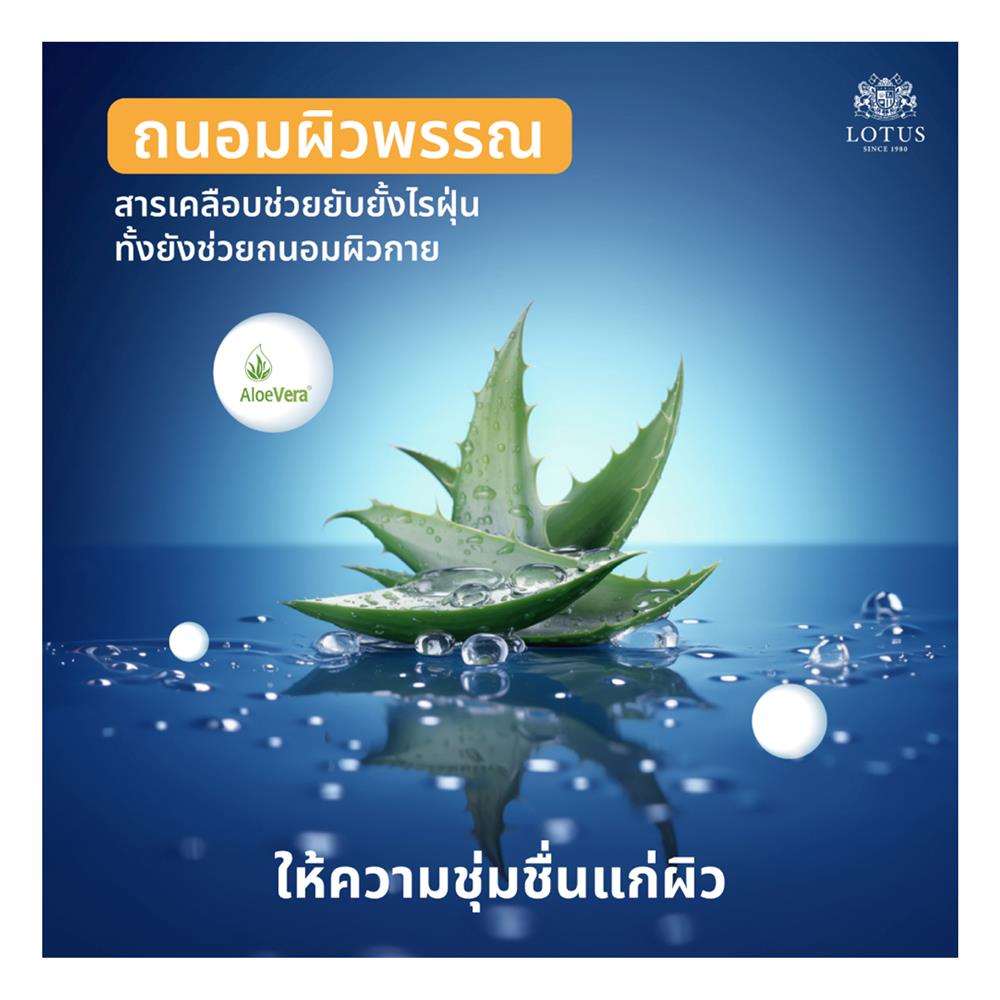 ที่นอน 6 ฟุต LOTUS ASLEEP I (พร้อมหมอนหนุน 2 ใบ)