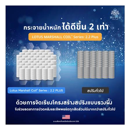 ที่นอน 6 ฟุต LOTUS ASLEEP I (พร้อมหมอนหนุน 2 ใบ)_8