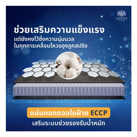 ที่นอน 6 ฟุต LOTUS ASLEEP I (พร้อมหมอนหนุน 2 ใบ)_10