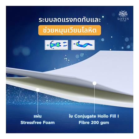 ที่นอน 6 ฟุต LOTUS ASLEEP I (พร้อมหมอนหนุน 2 ใบ)_11