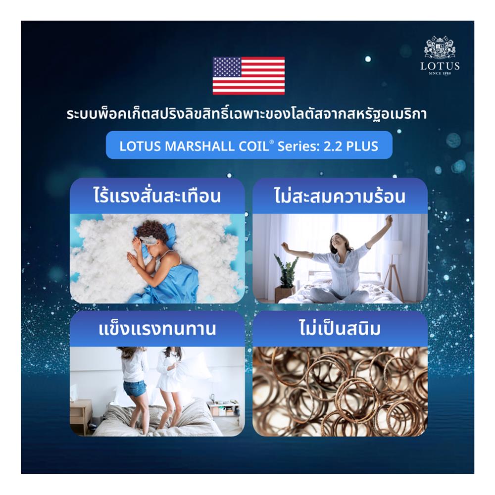 ที่นอน 5 ฟุต LOTUS ASLEEP III (พร้อมหมอนหนุน 2 ใบ)