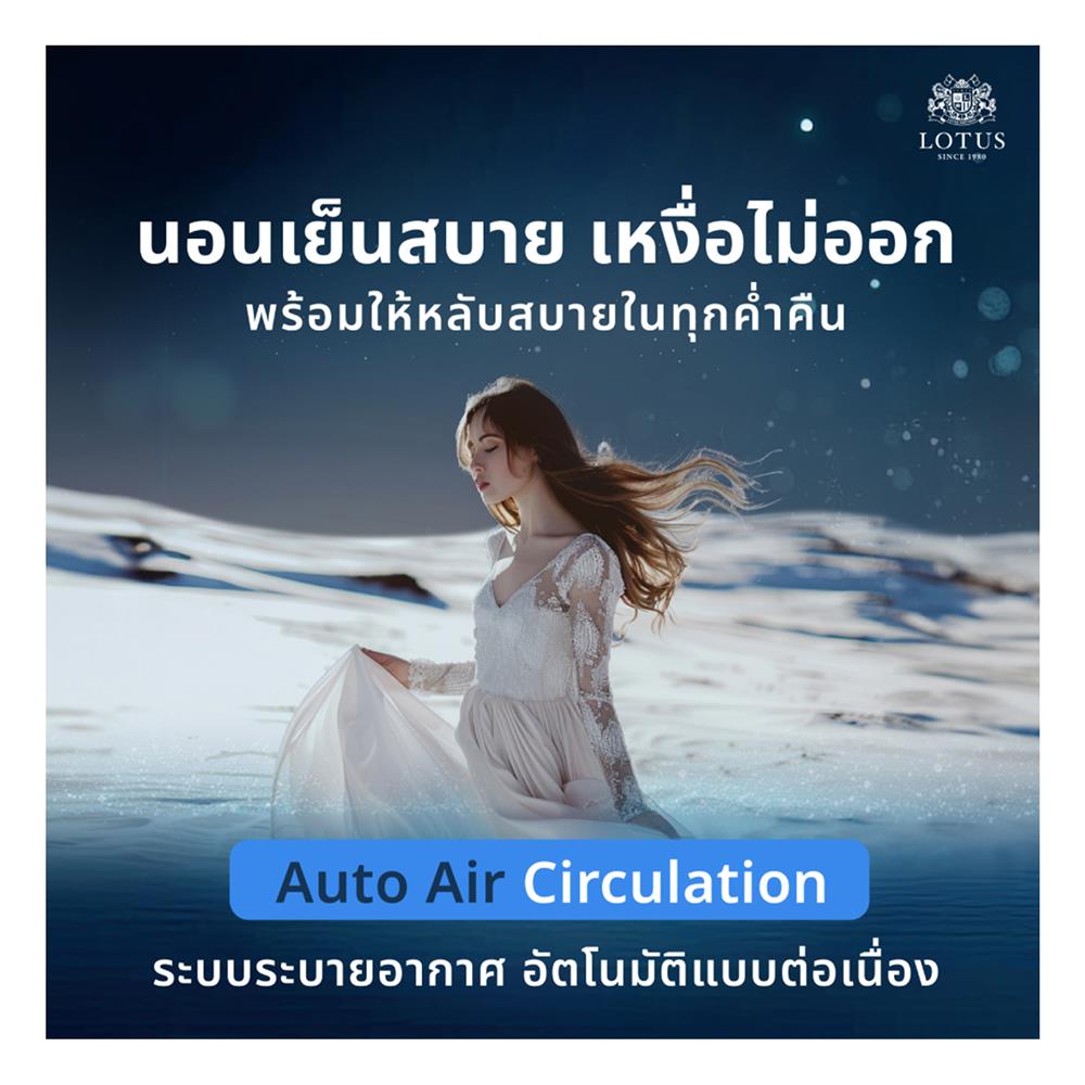 ที่นอน 5 ฟุต LOTUS ASLEEP III (พร้อมหมอนหนุน 2 ใบ)