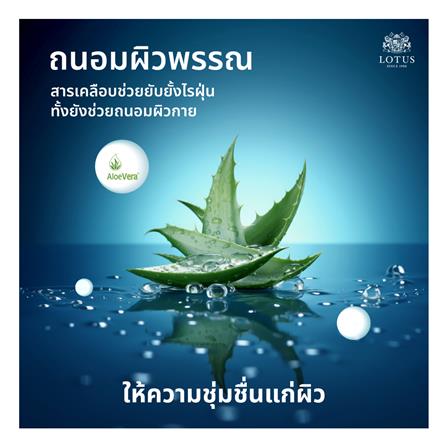 ที่นอน 5 ฟุต LOTUS ASLEEP III (พร้อมหมอนหนุน 2 ใบ)_14