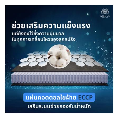 ที่นอน 5 ฟุต LOTUS ASLEEP III (พร้อมหมอนหนุน 2 ใบ)_12