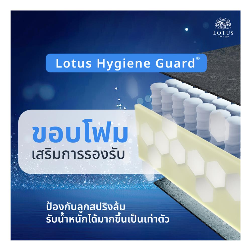 ที่นอน 5 ฟุต LOTUS ASLEEP II (พร้อมหมอนหนุน 2 ใบ)
