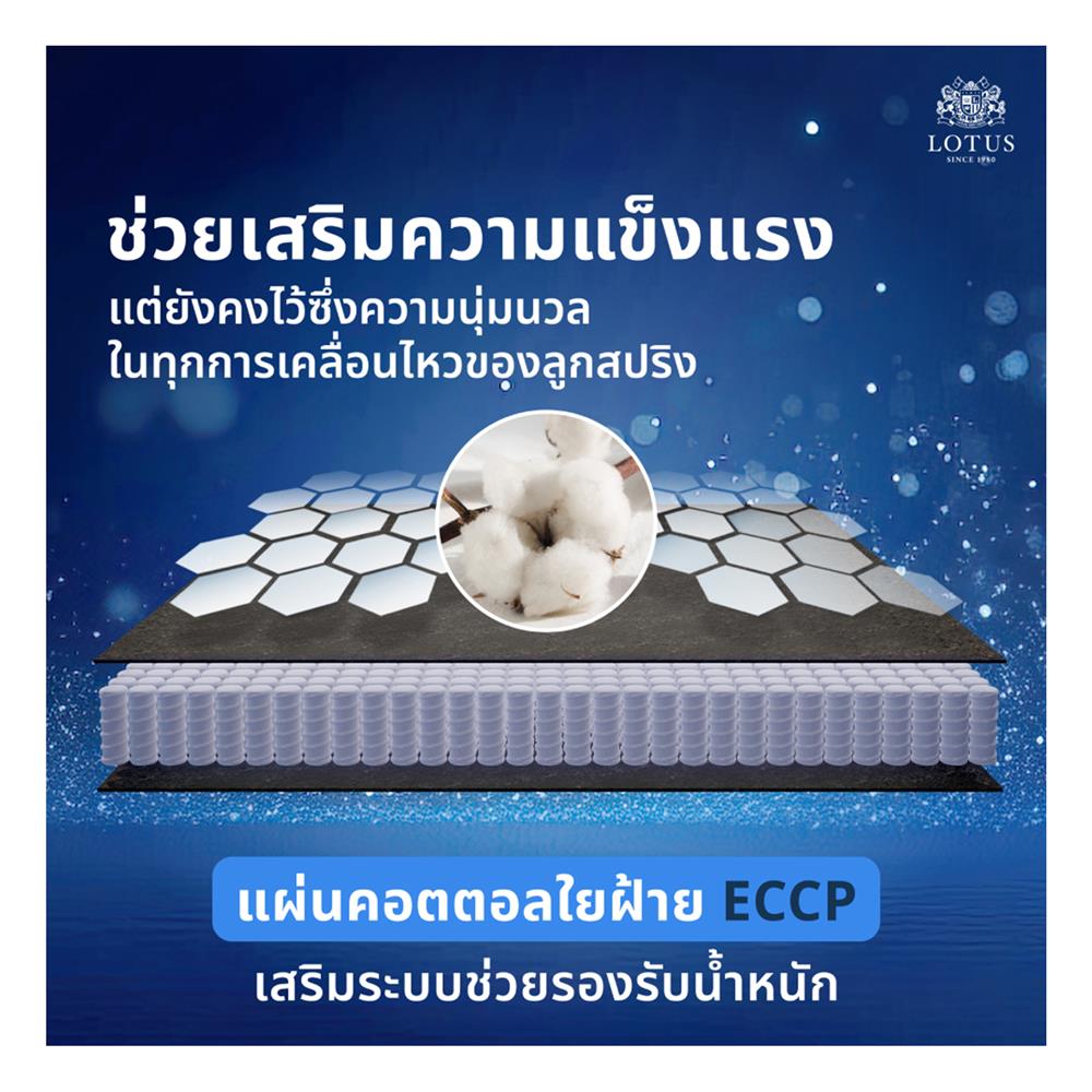 ที่นอน 5 ฟุต LOTUS ASLEEP II (พร้อมหมอนหนุน 2 ใบ)