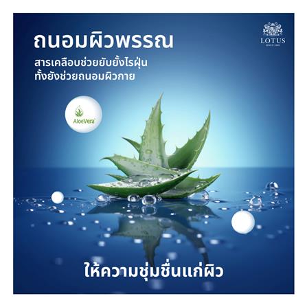 ที่นอน 5 ฟุต LOTUS ASLEEP II (พร้อมหมอนหนุน 2 ใบ)_13